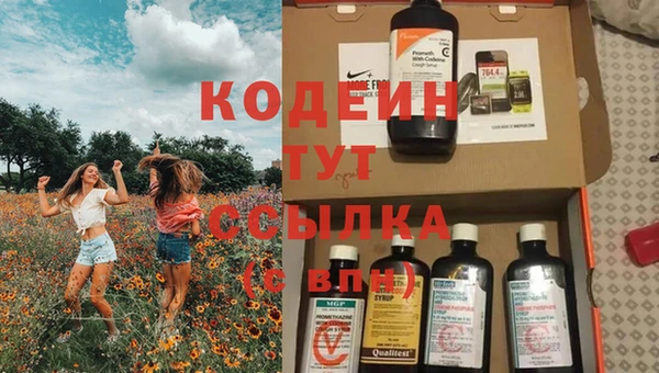 стафф Бронницы