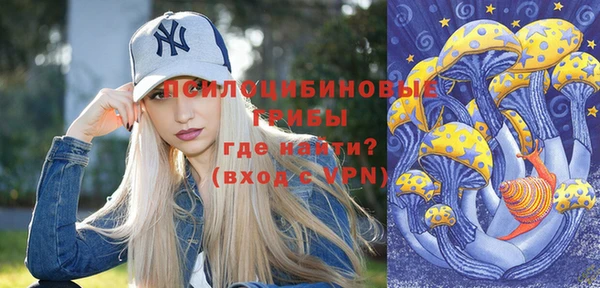 стафф Бронницы