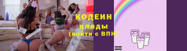 стафф Бронницы
