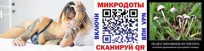 Галлюциногенные грибы прущие грибы  продажа наркотиков  Хабаровск 